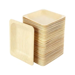 Biologisch abbaubare Teller